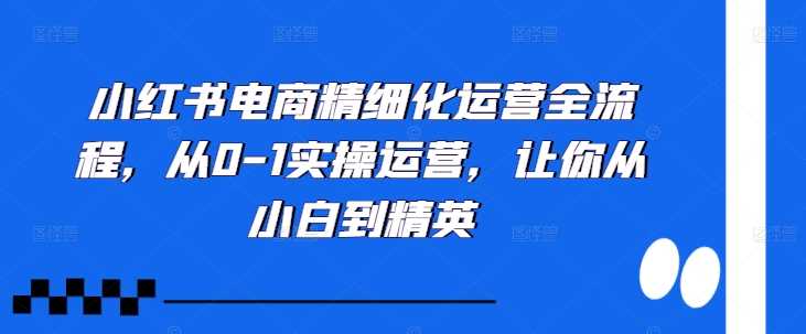 小红书电商精细化运营全流程，从0-1实操运营，让你从小白到精英 - 来及网络
