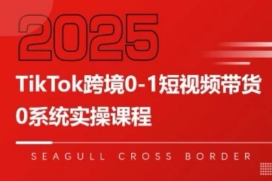 TikTok跨境0-1短视频带货，系统拆解TikTok跨境带货全链路，实现跨境可持续盈利 - 来及网络