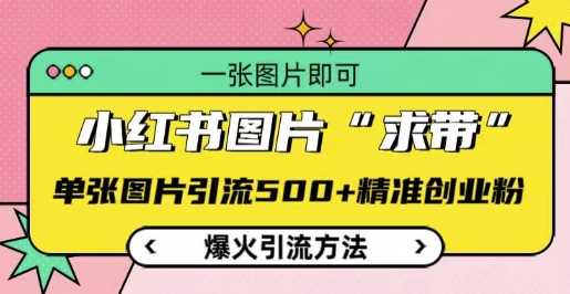 小红书图片‘求带’爆火引流法，单张图片引流500+精准创业粉【揭秘】 - 来及网络