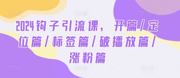 2024钩子引流课，开篇/定位篇/标签篇/破播放篇/涨粉篇 - 来及网络