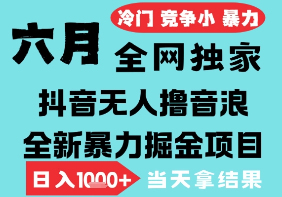 2025年6月高爆抖音无人直播最新撸音浪掘金项目，无脑日入1k+，低门槛小白可做，可矩阵放大【揭秘】 - 来及网络