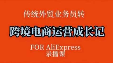 跨境电商速卖通运营课，运营方法论+后台实操，逻辑清晰 - 来及网络
