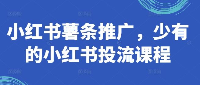 小红书薯条推广，少有的小红书投流课程 - 来及网络