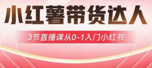 小红薯达人带货启航计划，3节直播课从0-1入门小红书 - 来及网络