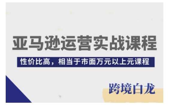 亚马逊运营实战课程，亚马逊从入门到精通，性价比高，相当于市面万元以上元课程 - 来及网络