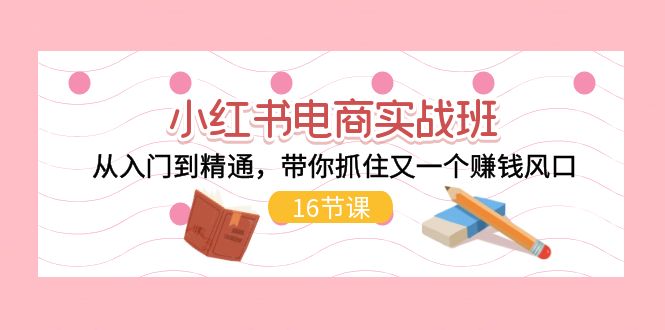 （11533期）小红书电商实战班，从入门到精通，带你抓住又一个赚钱风口（16节） - 来及网络
