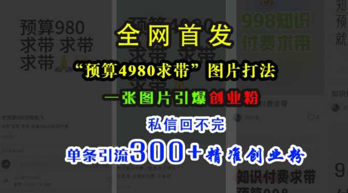 小红书“预算4980带我飞”图片打法，一张图片引爆创业粉，私信回不完，单条引流300+精准创业粉 - 来及网络