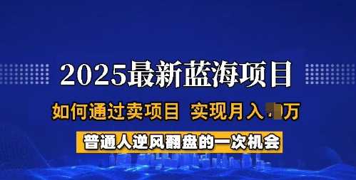 2025蓝海项目，普通人如何通过卖项目，实现月入过W，全过程【揭秘】 - 来及网络