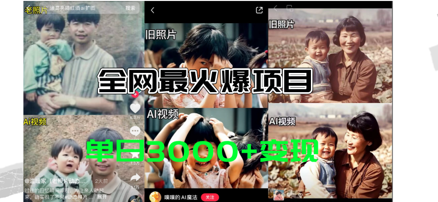 （11546期）全网爆火的AI让老照片动起来教程，蹭热点日赚3000+，内含免费工具一键… - 来及网络