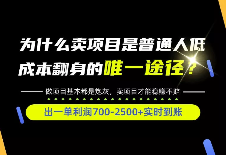 普通人如何靠互联网賺取自己的第一桶金！全类目实操型教学，看完你全都懂了！【揭秘】 - 来及网络