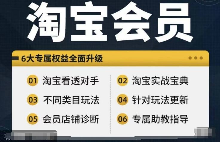 淘宝会员【淘宝所有课程，全面分析对手】，初级到高手全系实战宝典 - 来及网络