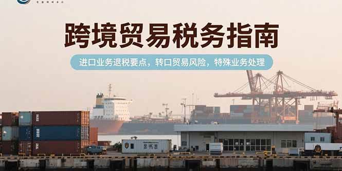 （15381期）跨境贸易税务指南，进口业务退税要点，转口贸易风险，特殊业务处理 - 来及网络