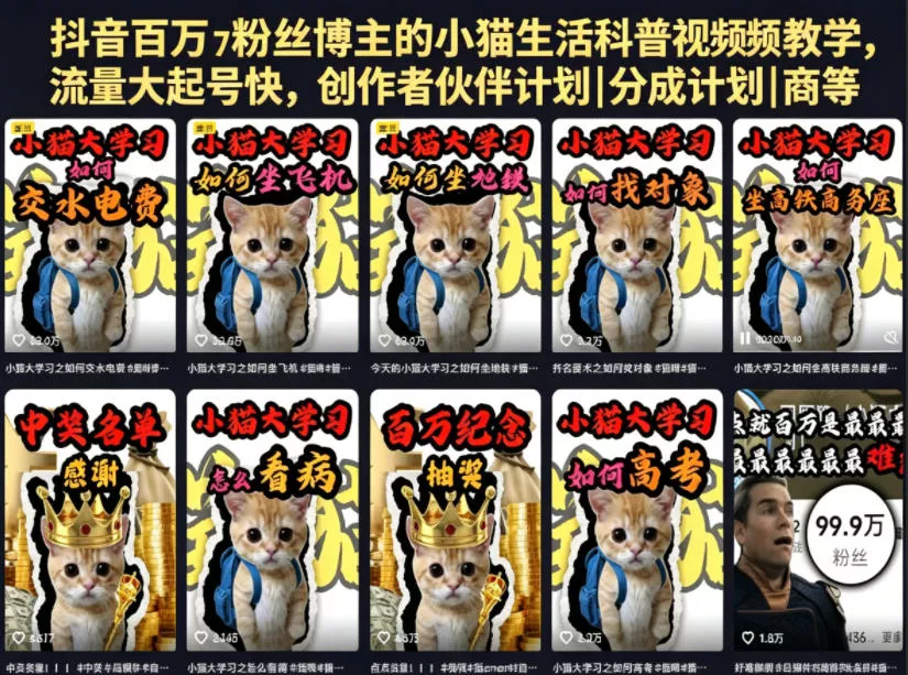 抖音百万粉丝博主的小猫生活科普视频教学，流量大起号快，创作者伙伴计划|分成计划|商单|收徒等 - 来及网络
