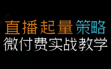 半野老师·直播带货起量与微付费必学课视频号 - 来及网络