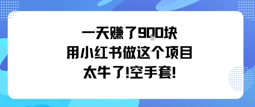 一天挣了9张用小红书做这个项目太牛了，空手套 - 来及网络