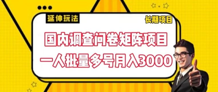 国内调查问卷矩阵项目，一人批量多号月入3000【揭秘】 - 来及网络