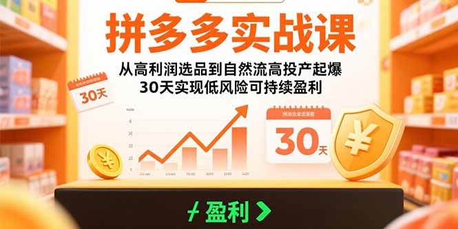 （15586期）拼多多实战课：从高利润选品到自然流高投产起爆 30天实现低风险可持续盈利 - 来及网络