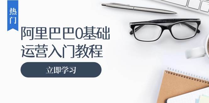 （13291期）阿里巴巴运营零基础入门教程：涵盖开店、运营、推广，快速成为电商高手 - 来及网络