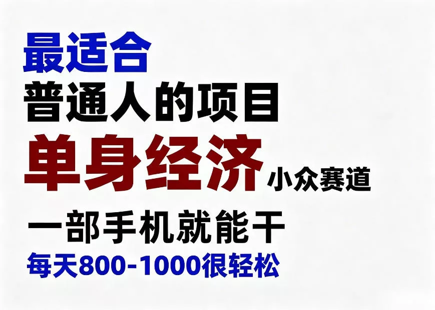 身经济小众赛道，一部手机就能干，每天搞个800-1000很轻松，最适合普通人的项目【揭秘】 - 来及网络