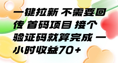 一键拉新 不需要回传 首码项目 接个验证码就算完成 一小时收益70+【揭秘】 - 来及网络