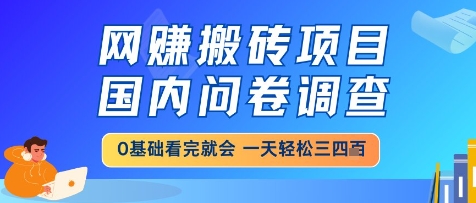 网创搬砖项目，国内问卷调查，小白轻松上手，一天三四张的也不难，干就完了【揭秘】 - 来及网络