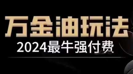 2024最牛强付费，万金油强付费玩法，干货满满，全程实操起飞（更新12月） - 来及网络