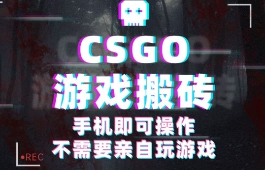 CSGO游戏挂G捡漏，单日扫货5张+，年底小高峰上车可吃肉，手机即可操作，兼职副业创业网创【揭秘】 - 来及网络