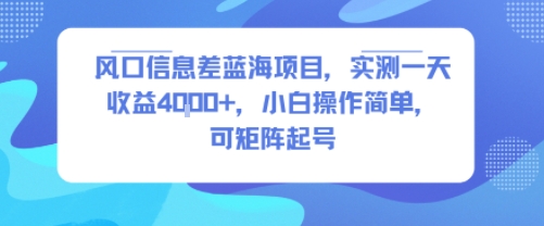 风口信息差蓝海项目，实测一天收益4k+，小白操作简单，可矩阵起号 - 来及网络