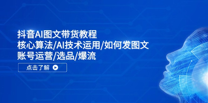 （11958期）抖音AI图文带货教程：核心算法/AI技术运用/如何发图文/账号运营/选品/爆流 - 来及网络