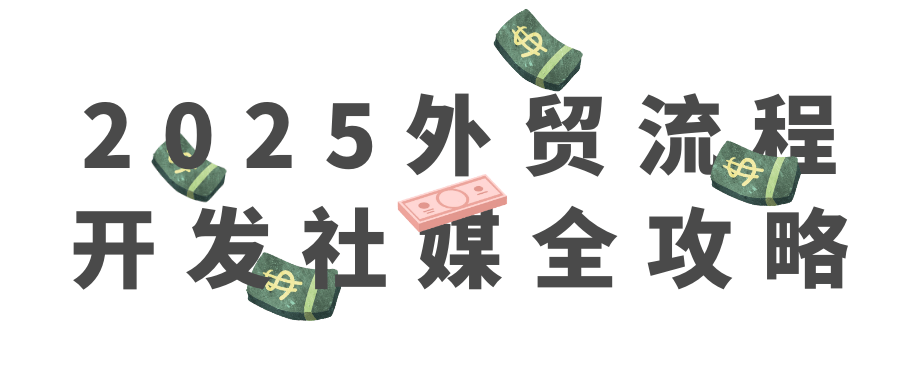 2025外贸流程开发社媒全攻略 - 来及网络