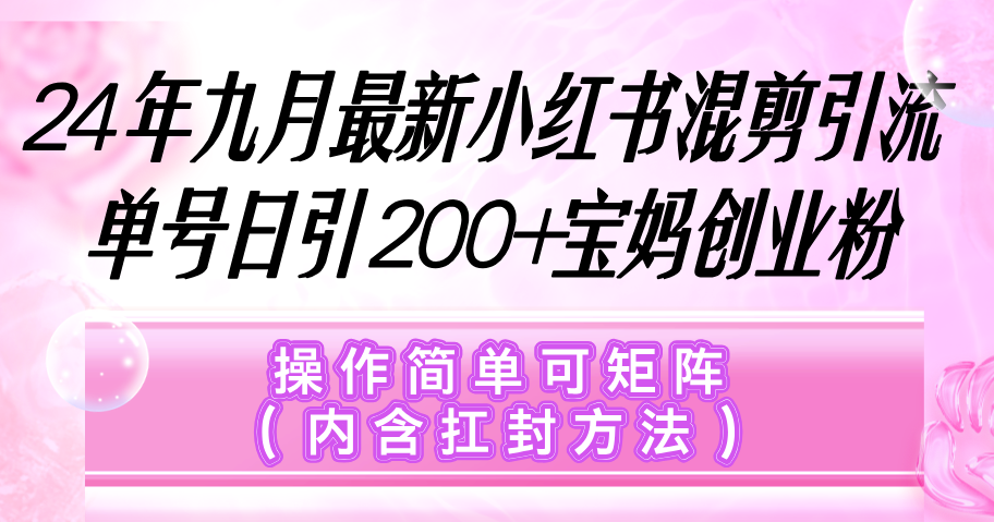 （12530期）小红书混剪引流，单号日引200+宝妈创业粉，操作简单可矩阵（内含扛封… - 来及网络