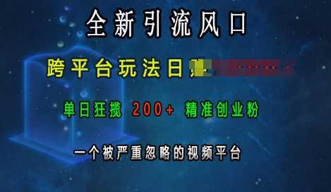 全新引流风口，跨平台玩法日入上k，单日狂揽200+精准创业粉，一个被严重忽略的视频平台 - 来及网络