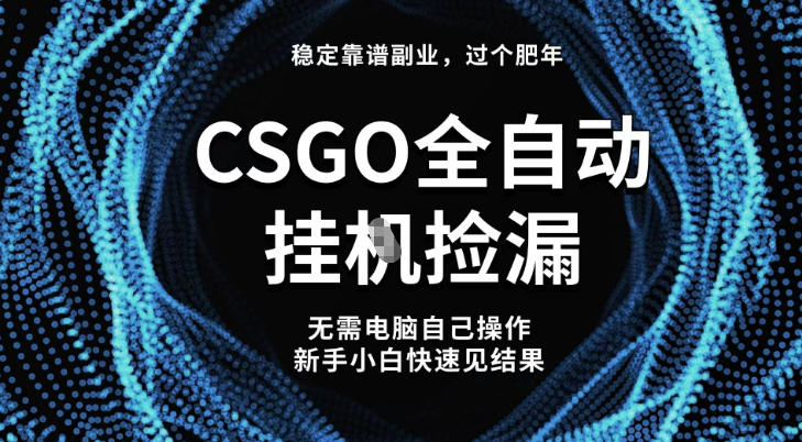 【稳定副业】全球最热门游戏CSGO全自动捡漏，最新玩法，新手小白日入5张+【揭秘】 - 来及网络