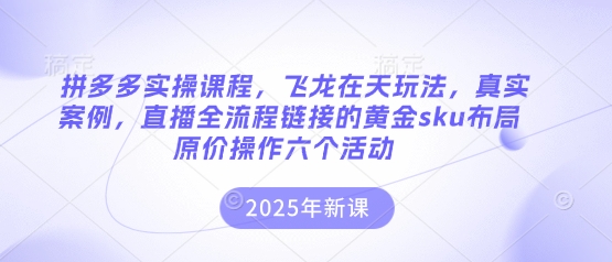 拼多多实操课程，飞龙在天玩法，真实案例，直播全流程链接的黄金sku布局原价操作六个活动 - 来及网络