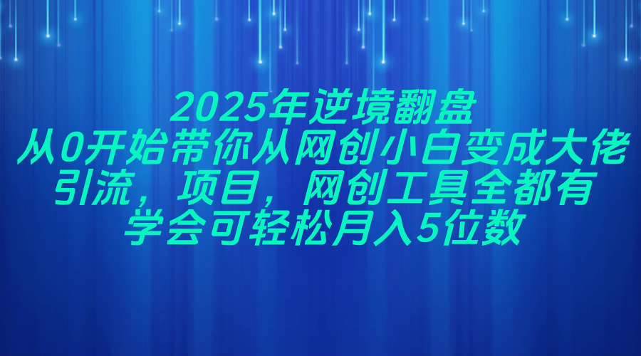（14473期）2025年逆境翻盘，从0开始带你从网创小白变成大佬，引流，项目，网创工… - 来及网络