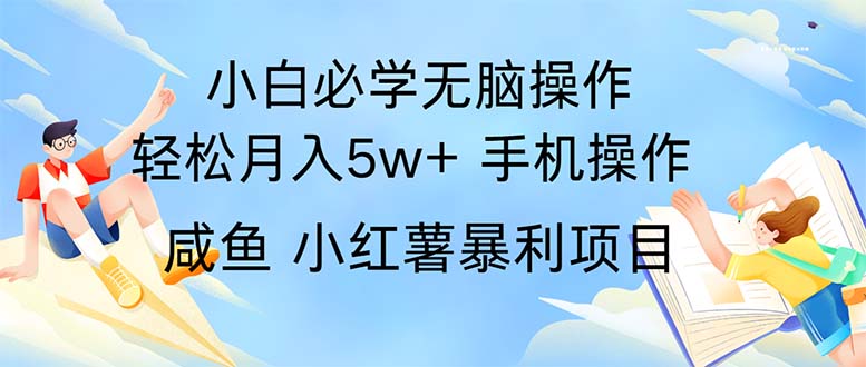 （11953期）2024热门暴利手机操作项目，简单无脑操作，每单利润最少500 - 来及网络