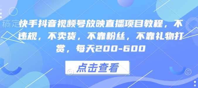 快手抖音视频号放映直播项目教程，不违规，不卖货，不靠粉丝，不靠礼物打赏，每天200-600 - 来及网络