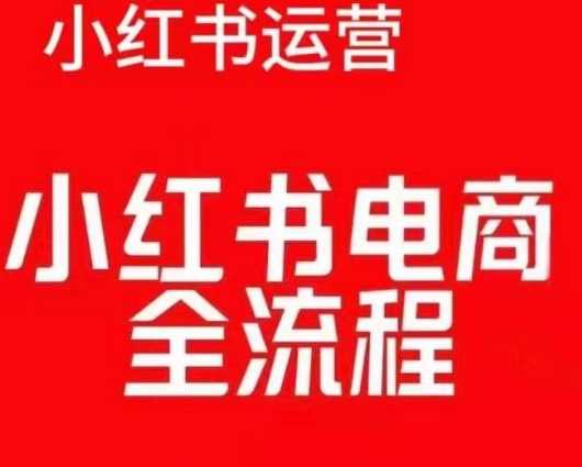 红薯电商实操课，小红书电商全流程 - 来及网络