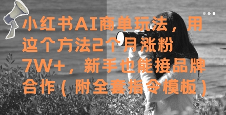 小红书AI商单玩法，用这个方法2个月涨粉7W+，新手也能接品牌合作(附全套指令模板) - 来及网络