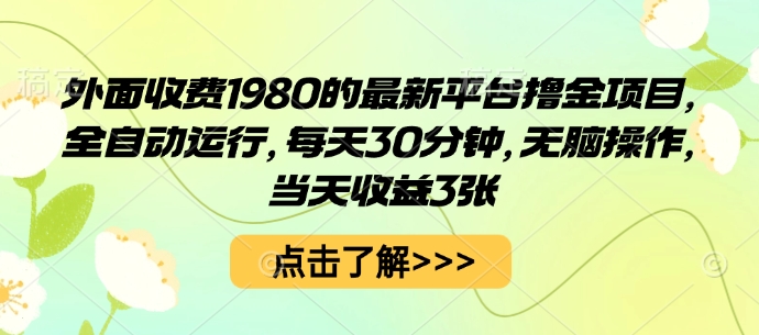 外面收费1980的最新平台撸金项目，全自动运行，每天30分钟，无脑操作，当天收益3张【揭秘】 - 来及网络