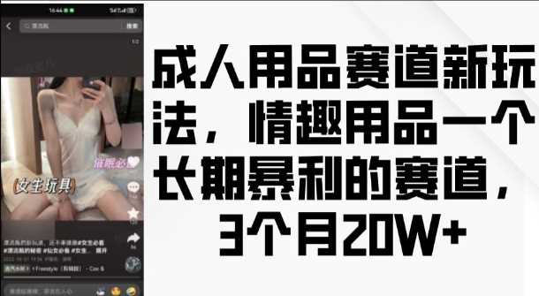 成人用品赛道新玩法，情趣用品一个长期暴利的赛道，3个月收益20个【揭秘】 - 来及网络