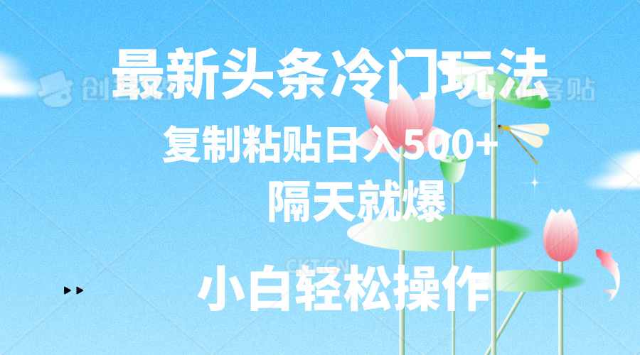 （11414期）最新头条冷门玩法，隔天就爆，复制粘贴日入500+ - 来及网络