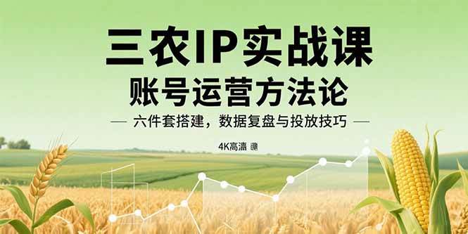 （15864期）三农IP实战课：账号运营方法论，六件套搭建，数据复盘与投放技巧 - 来及网络
