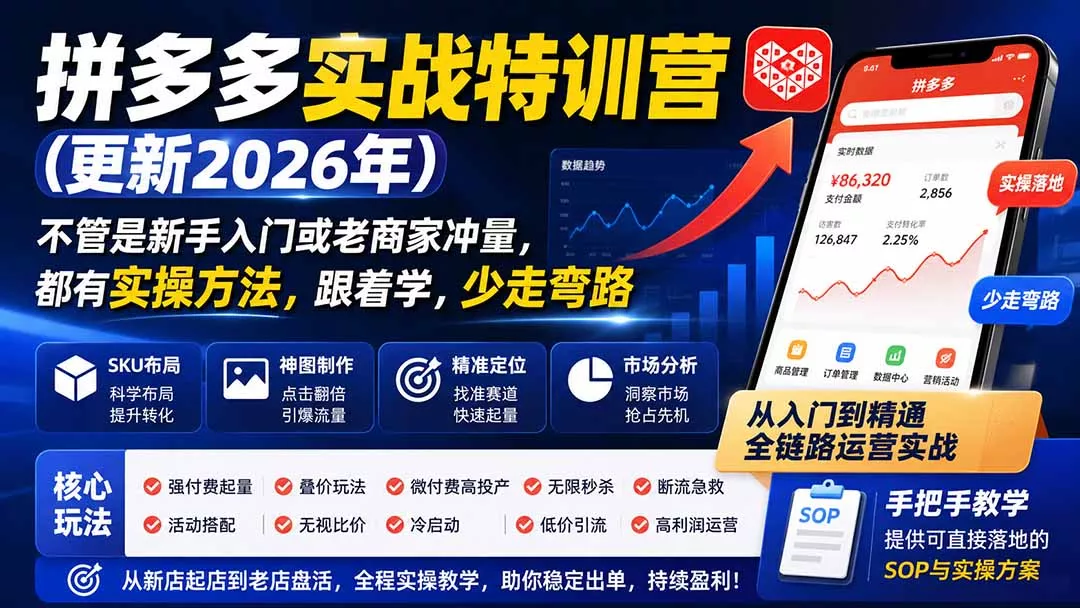 拼多多实战特训营(更新26年0821 - 来及网络