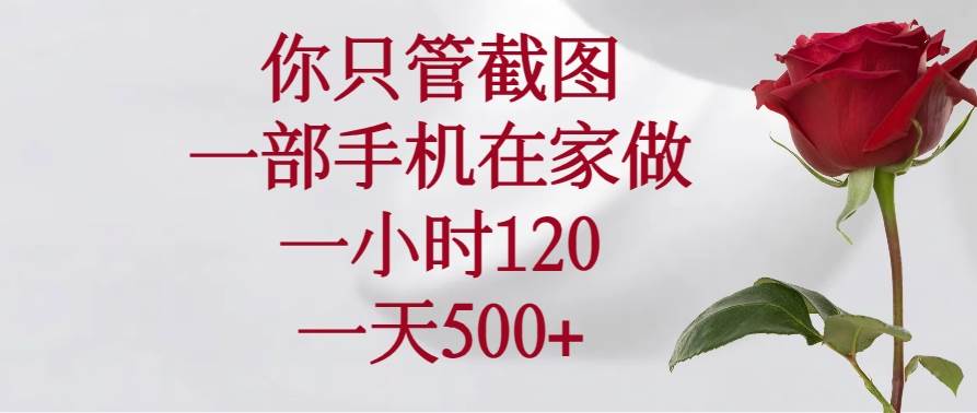 （14248期）你只管截图，一部手机在家做，一小时120，一天500+ - 来及网络