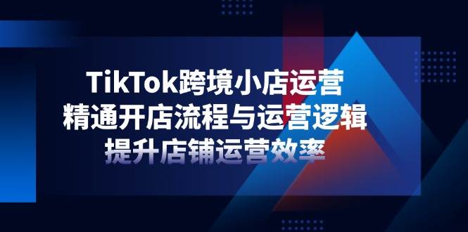 （14369期）TikTok跨境小店运营，精通开店流程与运营逻辑，提升店铺运营效率 - 来及网络