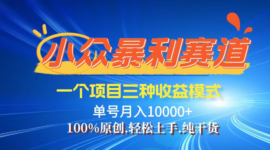 （12579期）【老人言】-视频号爆火赛道，三种变现方式，0粉新号调调爆款 - 来及网络
