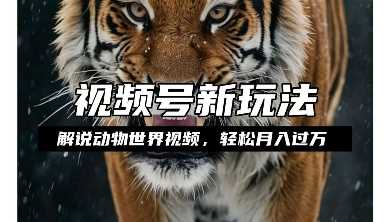 利用动物世界解说视频，赚分成计划收益，轻松月入过W，操作简单【揭秘】 - 来及网络