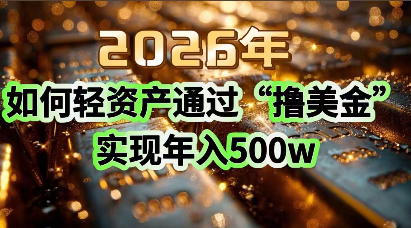 2026年如何轻资产通过“撸美金”实现年入500w - 来及网络
