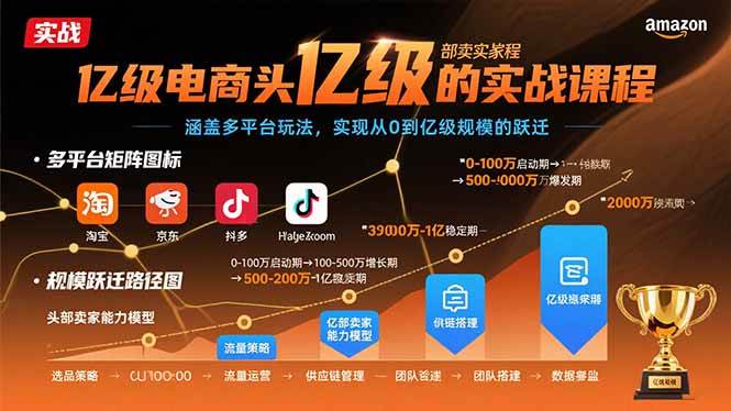 （15803期）亿级电商头部卖家的实战课程：涵盖多平台玩法，实现从0到亿级规模的跃迁 - 来及网络